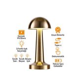 Mcreative OVAL - METAL MANTAR MASA LAMBASI DOKUNMATİK - RENKLİ TYPE-C ŞARJLI 3 FONKSİYONLU YL86-1231 (4604)