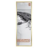 MCS Foundation 13,5 x 40 Poster Çerçevesi Geleneksel Siyah, Dikey ve Yatay Duvara Asmalı Fotoğraflar, Panoramikler, Posterler ve Sanat Baskıları için Büyük Resim Çerçevesi (1'li Paket)