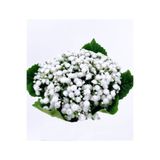 MD Aspiz Flowers yapay Lüx cipso gelin buketi Gypsophila çiçek plastik _ sarmaşık A?aç Gül kuru Çiçe?i ev yeni yil