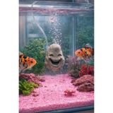 MD×HOA Akvaryum Hava Taşı ✸ Gülen Kaya Hava Taşı ✸ KarmaRenk ✸ MD İzmir Petshop