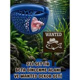 Mdizmir 2'li Set Beta Dinlenme Alanı ve Wanted Dekoru Seti Beta Balıgı Dinlenme Alanı Küçük Akvaryum ve Büyük Akvaryum Uygundur - Mavi