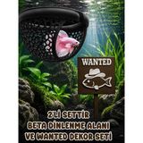 Mdizmir 2'li Set Beta Dinlenme Alanı ve Wanted Dekoru Seti Beta Balıgı Dinlenme Alanı Küçük Akvaryum ve Büyük Akvaryum Uygundur - Siyah
