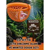 Mdizmir 2'li Set Beta Dinlenme Alanı ve Wanted Dekoru Seti Beta Balıgı Dinlenme Alanı Küçük Akvaryum ve Büyük Akvaryum Uygundur - Turuncu