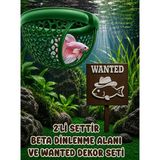 Mdizmir 2'li Set Beta Dinlenme Alanı ve Wanted Dekoru Seti Beta Balıgı Dinlenme Alanı Küçük Akvaryum ve Büyük Akvaryum Uygundur - Yeşil