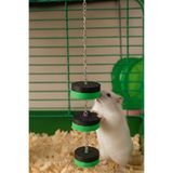 MD×JOA Askılı Hamster Oyuncagı Diş Sağlıgı için Önerilir. Yavru ve Yetişkin Hamsterlara Uygun