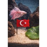MD×JOA Türk Bayrağı ( Kuma Gömülerek Kullanılır )