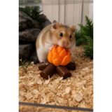 MD×JUA Hamster Oyuncagı Diş Sağlıgı için Önerilir. Yavru ve Yetişkin Hamsterlara Uygun