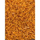 Mealworn 200 Adet Akvaryum Balığı Yemi ve Kanatlı Yemi(Unkurdu) - 1