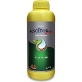 Mebor-5 Plus (1 Litre), Azot, Fosfor, Bor, Çinko Gübresi