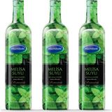Mecitefendi 3x1 lt Melisa Suyu