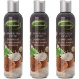 Mecitefendi 3x250 ml Hindistan Cevizi Şampuanı