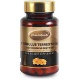 Mecitefendi Tribulus Terrenstris (Demir Dikeni) Ekstresi 60 Kapsül*630 Mg