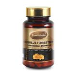 Mecitefendi Tribulus Terrestris Eki 60 Kapsül 630 MG