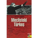 Meclisteki Türkeş - Rasim Koç