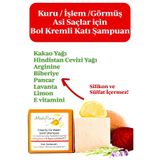 Mediflora İşlem Görmüş / Asi / Kuru Saçlar için Katı Şampuan- 110 GR Biberiye & Lavanta & Limon