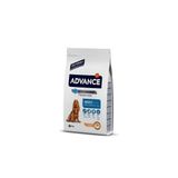 Medium Adult Chicken Tavuklu Orta Irk Köpek Maması 3 Kg