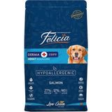 Medium-Large Somonlu Yetişkin Köpek Maması 15 Kg