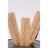 Mefaks Tekstil Koç Boynuzu Şerit 1.5 cm 50 Metre Dekoratif Süsleme Şeridi Perde Aksesuar - Ten - Renk