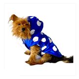 Mega Dots Blue Yağmurluk Kapşonlu Köpek Yağmurluğu
