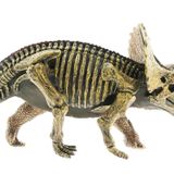 Mega Oyuncak-Yarı İskelet Triceratops Seti