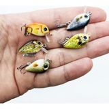 Megsaydin 1 gr 2.5 cm Mini Lrf Lokmalık Avcı 5 Li Set - Yapay Balık Seti - Renk - Karışık