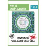 Mehmet Aydın Mosaıc Nane ve Okaliptus Sabunu 113 G x 6 Paket