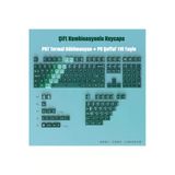 Mekanik Klavye Tuş Takımı 119 Tuş Keycaps PBT Süblimasyonlu Çift Renkli Klavye Başlığı (Saydam-Opak)