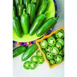 Meksika Biberi Jalapeno Acı Biber 100 Adet Tohum