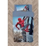 Mekta Home Bebek Ve Çocuk Odası Spider-man Desenli Nevresim Takımı