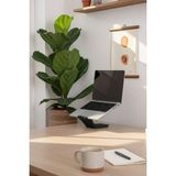MEKTrend Ergonomik Dizüstü Bilgisayar / Laptop Standı Taşınabilir - Çok Renkli