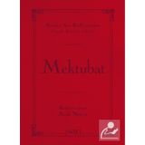 MEKTUBAT (ÇANTA BOY) RISALE-I NUR KÜLLIYATINDAN LÜGATLI, KAYNAKLI, İNDEKSLI - BEDIÜZZAMAN SAID NURSI