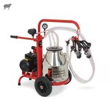 Melasty Ecomini İkili Koyun Süt Sağma Makinesi (Paslanmaz Güğüm-Kauçuk) (Kuru)