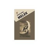 Melek - Lütfü Topaç