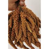 melek Organik Dal Darı-doğal Daldarı Kuş Yemi 100 gr