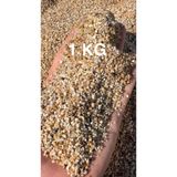 Melien 1-3 mm 1 kg Akvaryum Bitki Dere Kumu