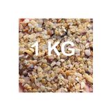 Melien Akvaryum Kumu Tropikal Midye Kırığı Kum 1 KG