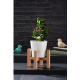 melik's Trilya Ahşap Saksı Standı Saksılık Saksı Ayağı 16x16 Cm (SAKSI DAHİL DEĞİLDİR)