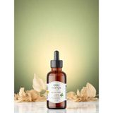 Melisa Yağı 10ML - 10 ml