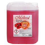 Melissa Konsantre yüzey temizleme sıvısı Ateş Topu 5 L