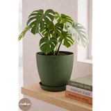 Melkan Home 8 Litre Begonya Saksı – 25x23,5 cm Mat Bitki Saksısı | İç ve Dış Mekan Uyumlu Dayanıklı Çiçek Saksı