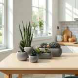 Melkan Home Dekoratif Saksı Seti 5 Parça Modern Saksılar, Kaktüs Sukulent ve Dekoratif Çiçek Saksıları - Bej