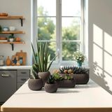 Melkan Home Dekoratif Saksı Seti 5 Parça Modern Saksılar, Kaktüs Sukulent ve Dekoratif Çiçek Saksıları - Kahverengi