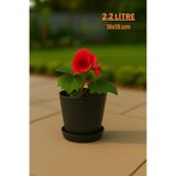 Melkan Home Modern Begonya Saksı 2,2 Litre Tabaklı Çiçek Saksısı – İç ve Dış Mekana Uygun 16x15 cm