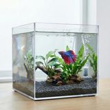 Melkan Home Premium Kristal Küp Nano Akvaryum & Beta Fanusu 20X20X20 cm 7 Litre - Karides ve Balık Akvaryumu - Ahşap - Bej - Siyah
