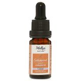 Mellys' Nature 10 ml Sedir Uçucu Yağı