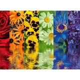 Mena Rise 164462 500 Parça Puzzle Çiçek Yansıma, Çok Renkli