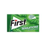Mena Rise First Sensations Yeşil Nane Aromalı Sakız 27 gr - 240 Adet - 1 Adet