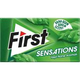 Mena Rise First Sensations Yeşil Nane Aromalı Sakız 27 gr - 240 Adet