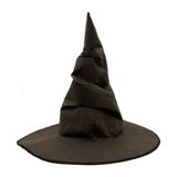 Mena Rise Harry Potter Seçmen Şapkası Çocuk Boy - Lisinya