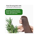 Mena Rise The Ceel Biberiye Şampuanı 250 ml - Saç Dökülmesine Karşı Keratin Biotin ve Kolajen Özlü Hızlı Saç Uzatma ve Güçlendirici Bakım